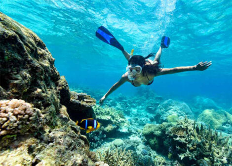 Puerto Galera Activities - Snorkeling