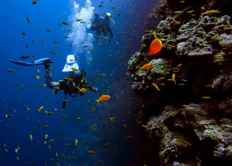 Puerto Galera Scuba Diving