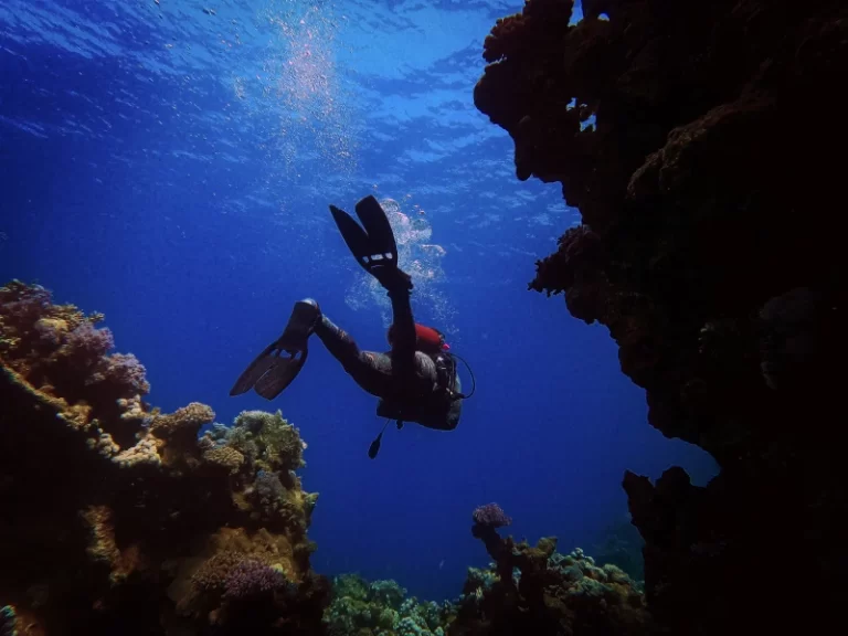 scuba diving, an outdoor activity in puerto galera